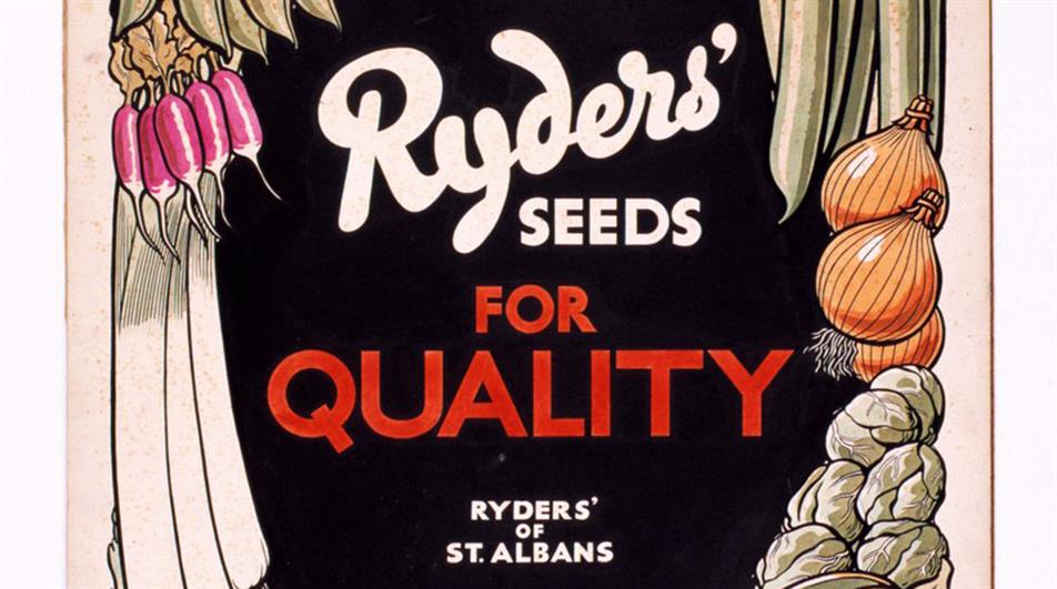 Ryders